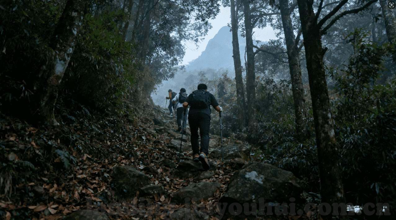 大发游戏直营-大发游戏直营，重塑游戏体验的行业新航标