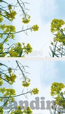 竞彩足球实时比分-竞彩足球实时比分，一场数据与激情的双重盛宴