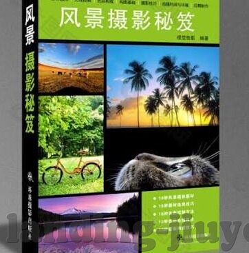 足踢足球比分网-足踢足球比分网，足球迷的数字战场与数据盛宴